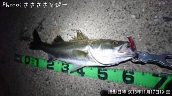 �����Х�