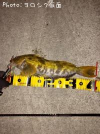 �����ʥ�