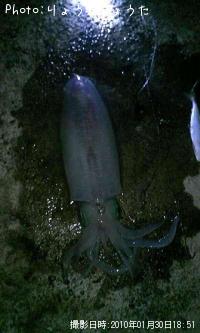 �����ꥤ��