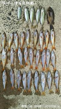 ��ġ���������Х�