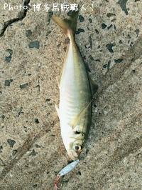 ��ġ���������Х�