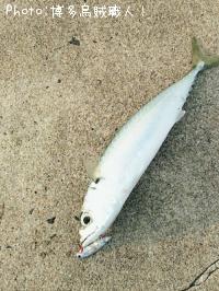 ��ġ���������Х�