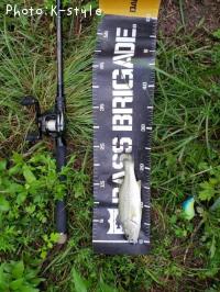 ¥Ö¥é¥Ã¥¯¥Ð¥¹