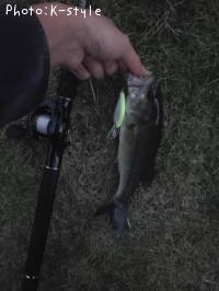 �֥�å��Х�