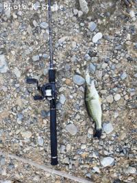 �֥�å��Х�