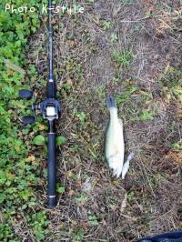 �֥�å��Х�