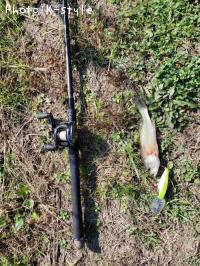 �֥�å��Х�