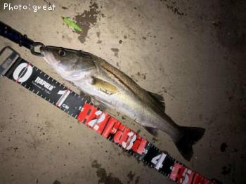 �����Х�