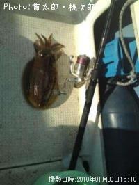 ���ߥ���