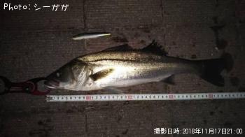 �����Х�