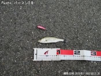 �����Х�