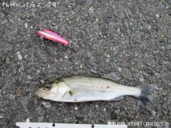 �����Х�