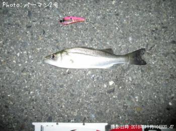 �����Х�