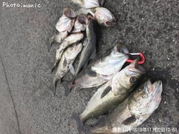 �����Х�