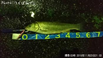 �ޥ륿������