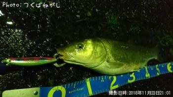 �ޥ륿������