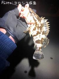 �����Υ���Х�