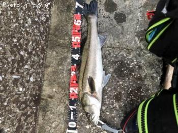 �����Х�