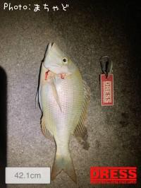 ���ޥ�ڥϥޥե��ե���