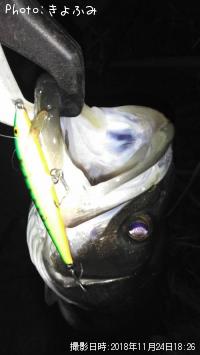 �����Х�