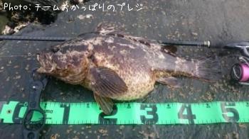 �����Υ���Х�