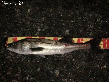 �����Х�