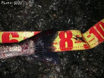 �����Х�