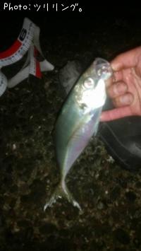 ¥á¥Ð¥ë¤È¥¢¥¸