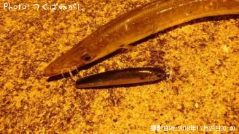 ¥¢¥«¥«¥Þ¥¹