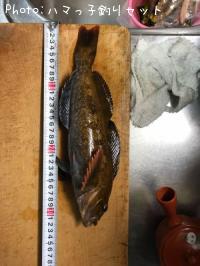 �����ʥ�