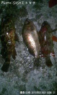 ��С������������