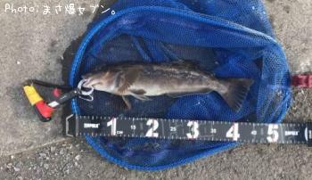 �����ʥ�