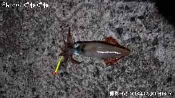 ���󥵥�����