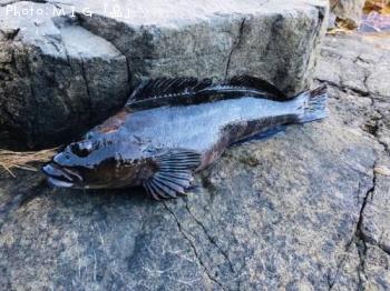 �����ʥ�