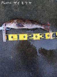 �����ʥ�