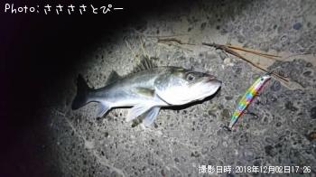 �����Х�