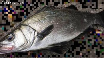 �����Х��ʥҥ�եå���