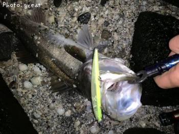 �����Х�