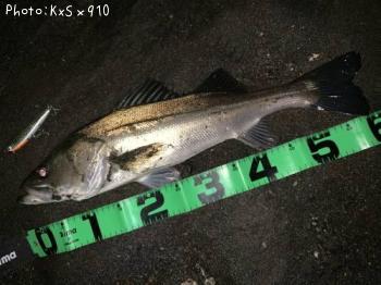 �����Х�