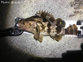 �٥å�������