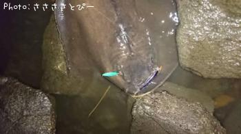 �����Х�