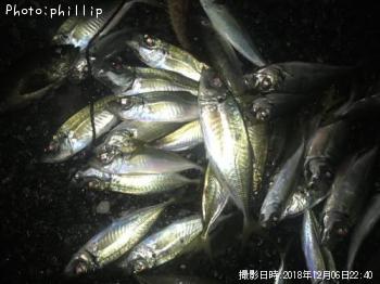 ��������Х롢������