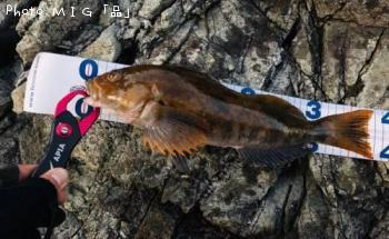 �����ʥ�