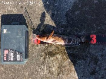 �����ʥ�