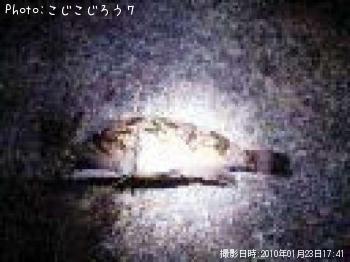 �٥å�������