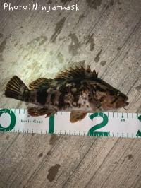 �����Υ���Х�