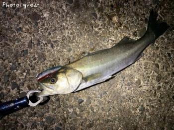 �����Х�