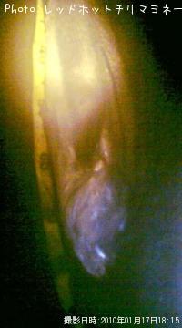 �����Х�