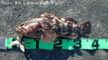 �����Υ���Х�