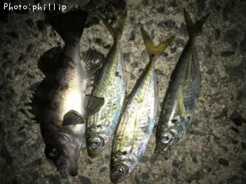 ¥á¥Ð¥ë¡¢¥¢¥¸